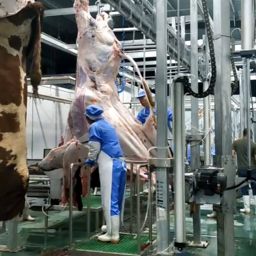 Высокоэффективный съемник шкур крупного рогатого скота | Оборудование для линии убоя - Henger Manufacturing