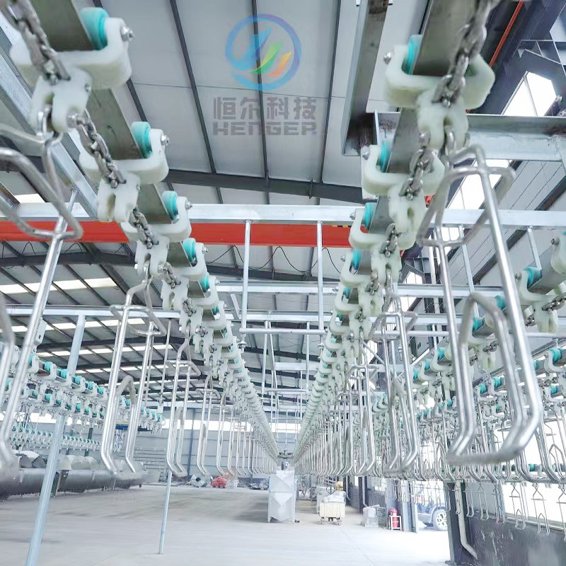 Автоматическое оборудование для убоя курицы - линия убоя птицы для перерабатывающего завода